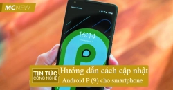 Cap-nhap-android-P-̣9