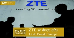 ZTE-12