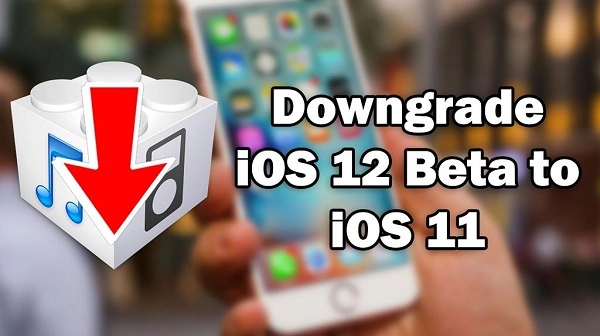 hạ cấp từ iOS 12 beta xuống iOS 11
