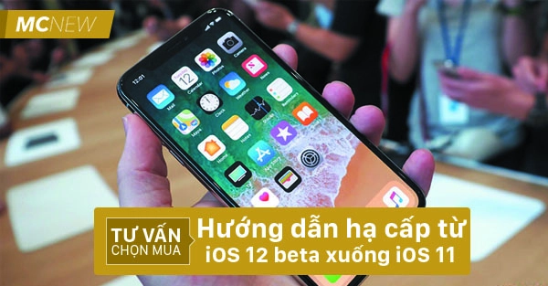 ha-cap-tu-iOS-12-beta-xuong-iOS-11-3