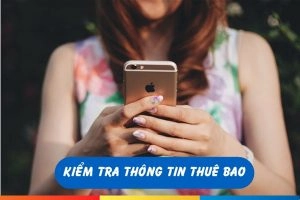 Có thể kiểm tra được bao nhiêu thông tin về một số điện thoại của người khác trên mạng Viettel?