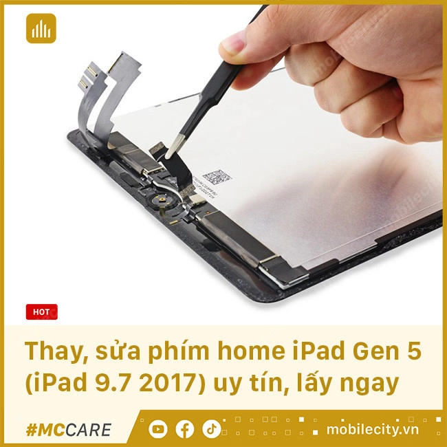 sua-phim-home-gen-6