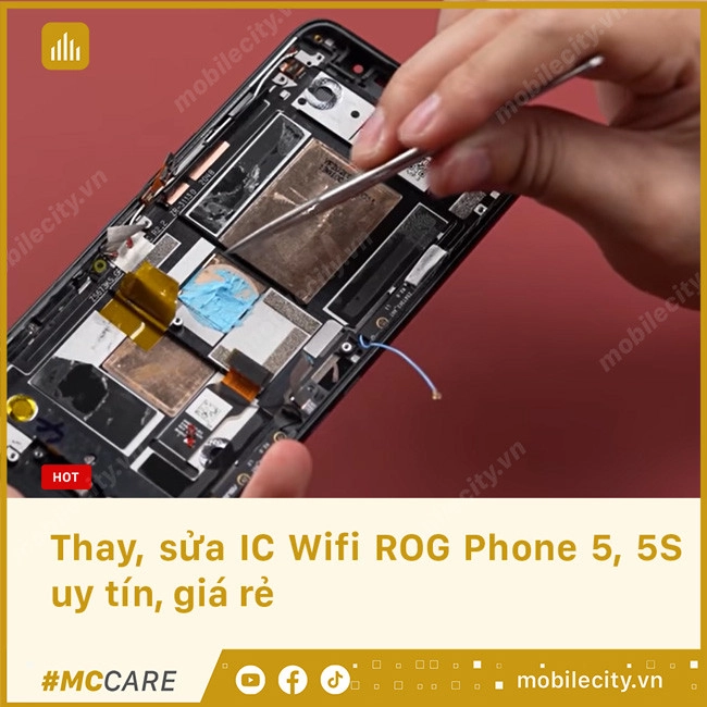 Thay, sửa IC Wifi Asus ROG Phone 5, 5S