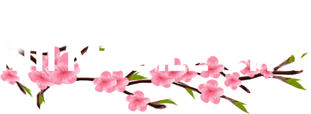 MobileCity - Hỗ Trợ Khách Hàng