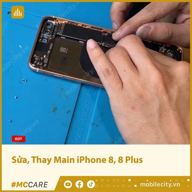 Sửa, Thay Main iPhone 8, 8 Plus