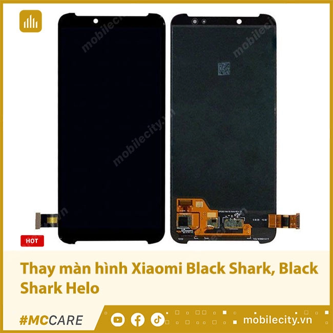 Thay màn hình Xiaomi Black Shark, Black Shark Helo