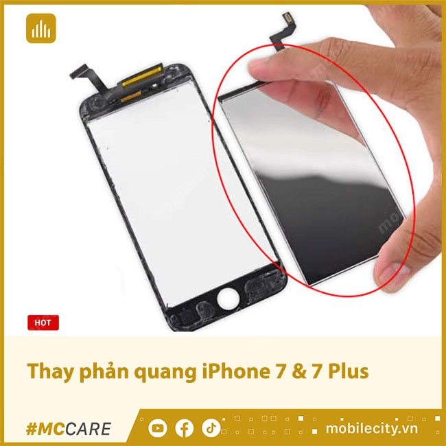 Thay phản quang iPhone 7 & 7 Plus