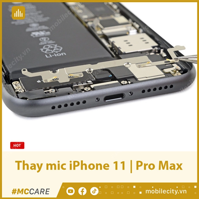 Thay mic iPhone 11 | Pro Max