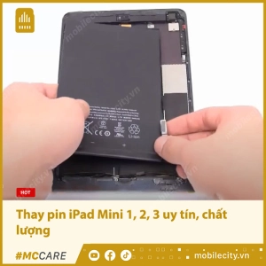 thay-pin-ipad-mini-1-2-3-0