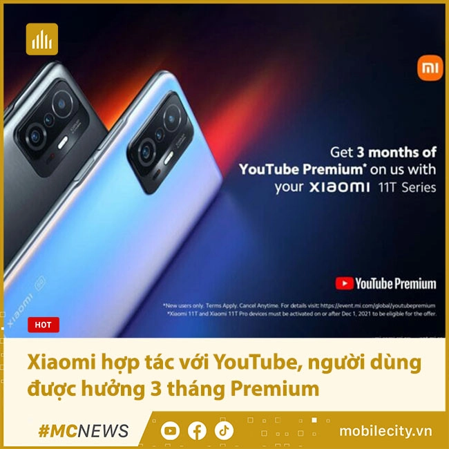 youtube-premium-xiaomi-dai-dien