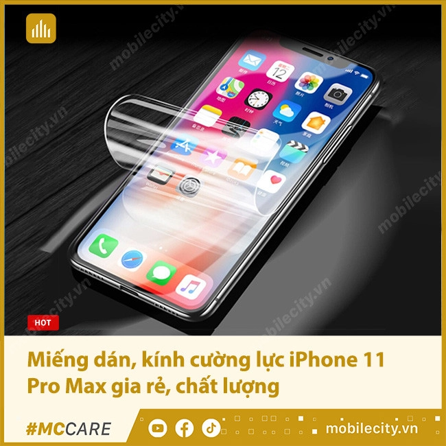 mieng-dan-man-hinh-iphone-11-pro-max