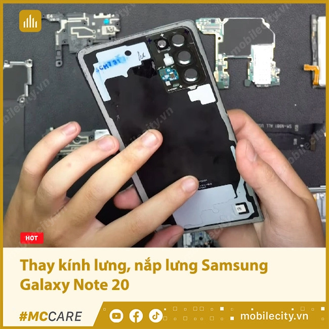 Thay kính lưng, thay mặt kính sau Samsung Galaxy Note 20