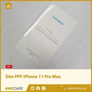 dan-ppf-iphone-11-pro-max
