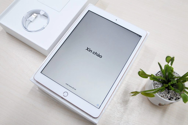 ipad-gen-7-10-2-inch-2019-03