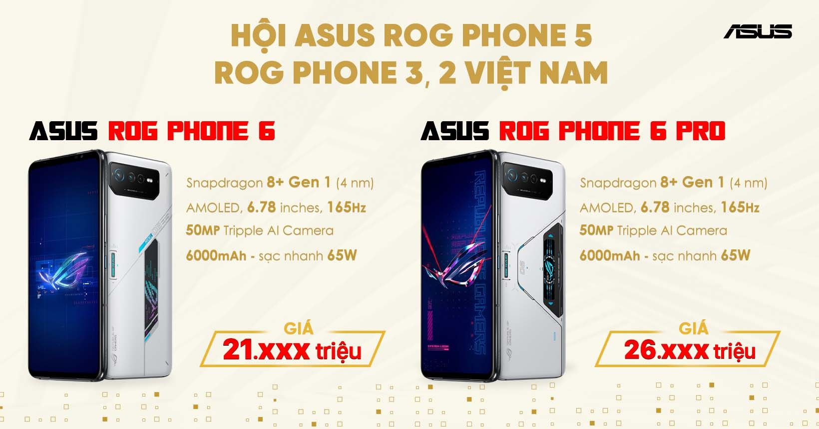 Hội ASUS ROG Phone Việt Nam: ROG Phone 6, 6 Pro, 5, 5S, 3