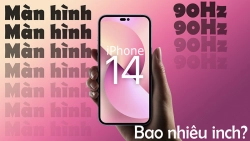 man-hinh-iphone-14-bao-nhieu-inch