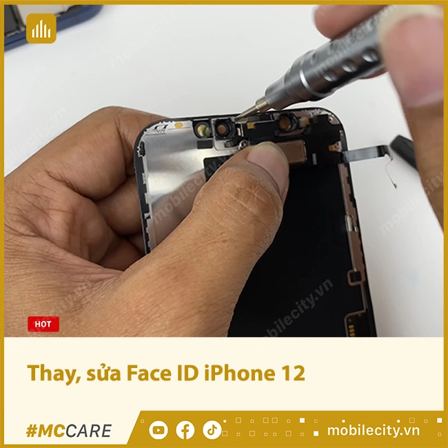 Thay, sửa Face ID iPhone 12