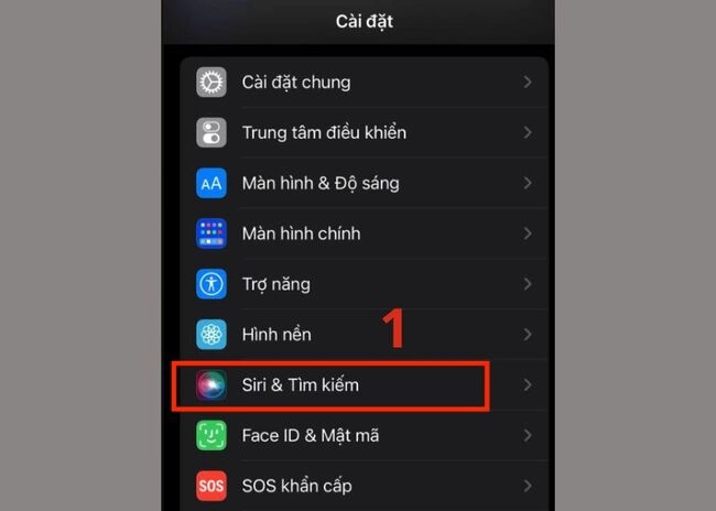 cach-noi-chuyen-voi-siri-bang-tieng-viet-tren-iphone-11-1