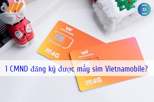 mot-sim-chinh-chu-dang-ky-duoc-bao-nhieu-sim-vietnamobile