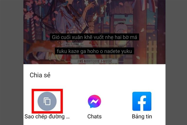 sao-chep-duong-dan-video