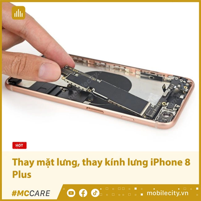 Thay mặt lưng, thay kính lưng iPhone 8 Plus