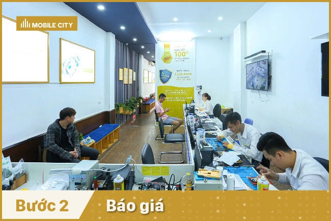 Báo giá dịch vụ