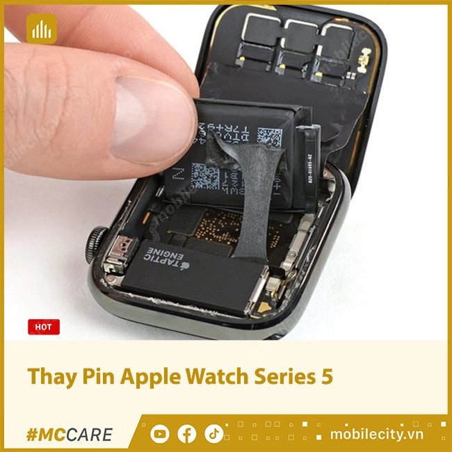 Thay Pin Apple Watch Series 5