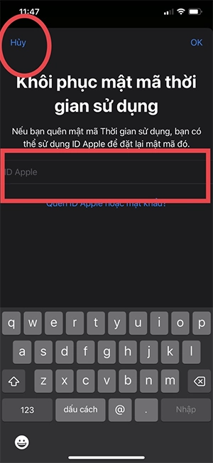 cach-dat-mat-khau-ung-dung-tren-iphone-11-nhap-id-apple
