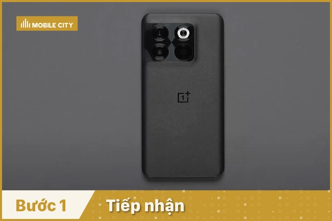 Tiếp nhận