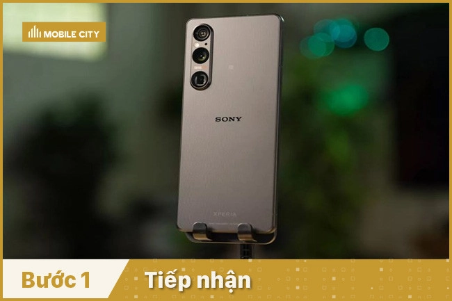 Tiếp nhận