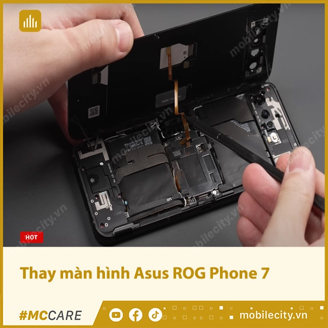 Thay màn hình Asus ROG Phone 7