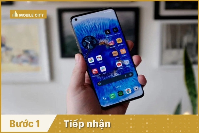 Tiếp nhận