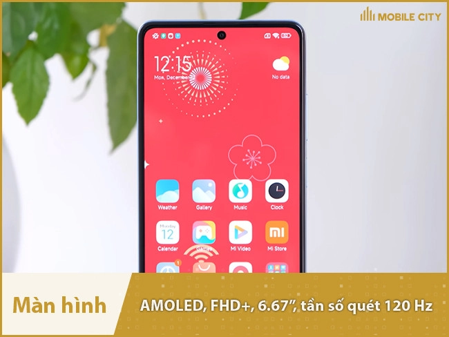 Màn hình OLED cao cấp