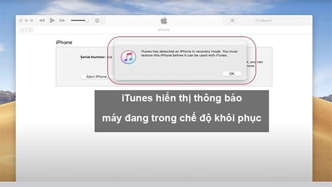 Màn hình iTunes hiển thị ra giao diện khôi phục thiết bị