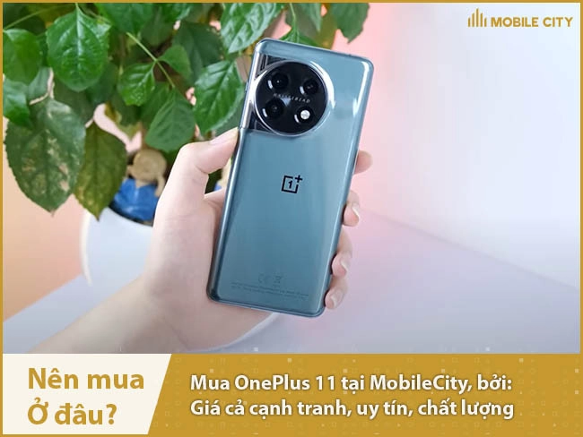 oneplus-11-cu-nen-mua-o-dau