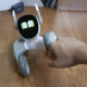 robot-thu-cung-thong-minh-loona-the-petbots35