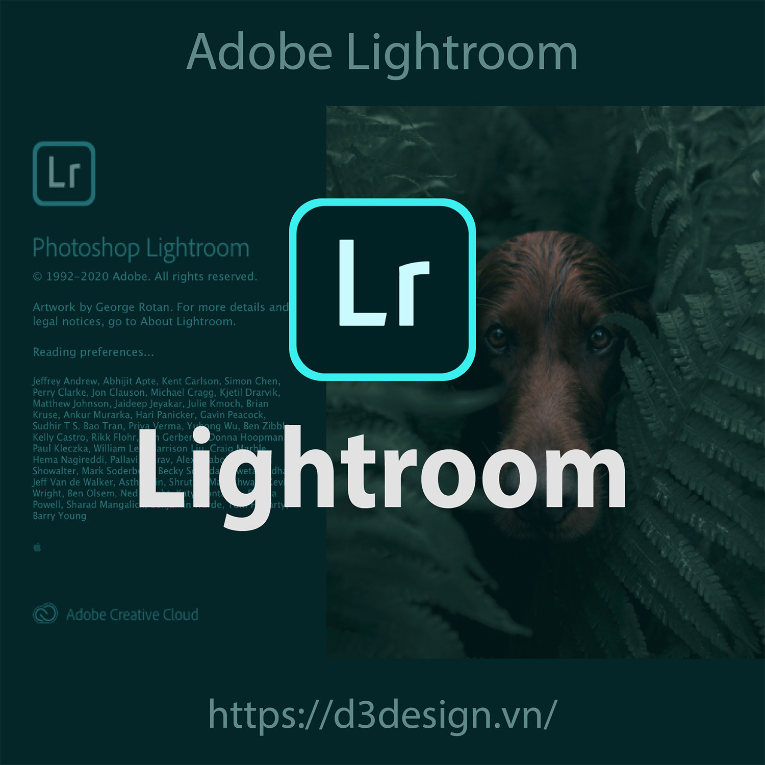 Lightroom đã quá nổi tiếng về độ chuyên nghiệp