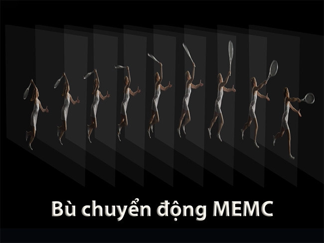 Bù chuyển động MEMC