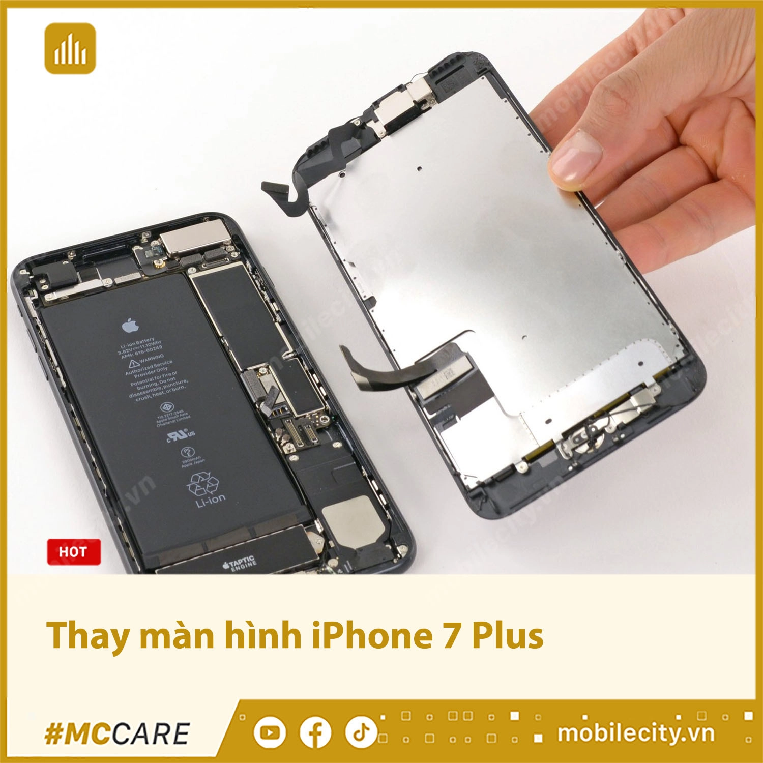 Thay màn hình iPhone 7 Plus