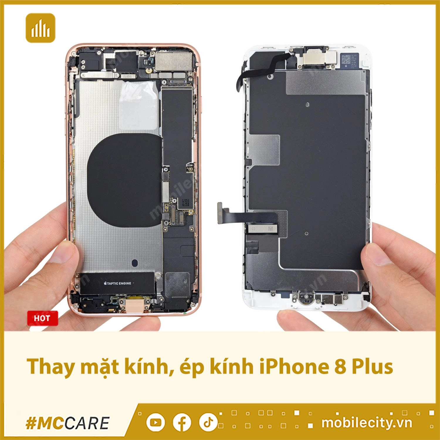 Thay mặt kính, ép kính iPhone 8 Plus