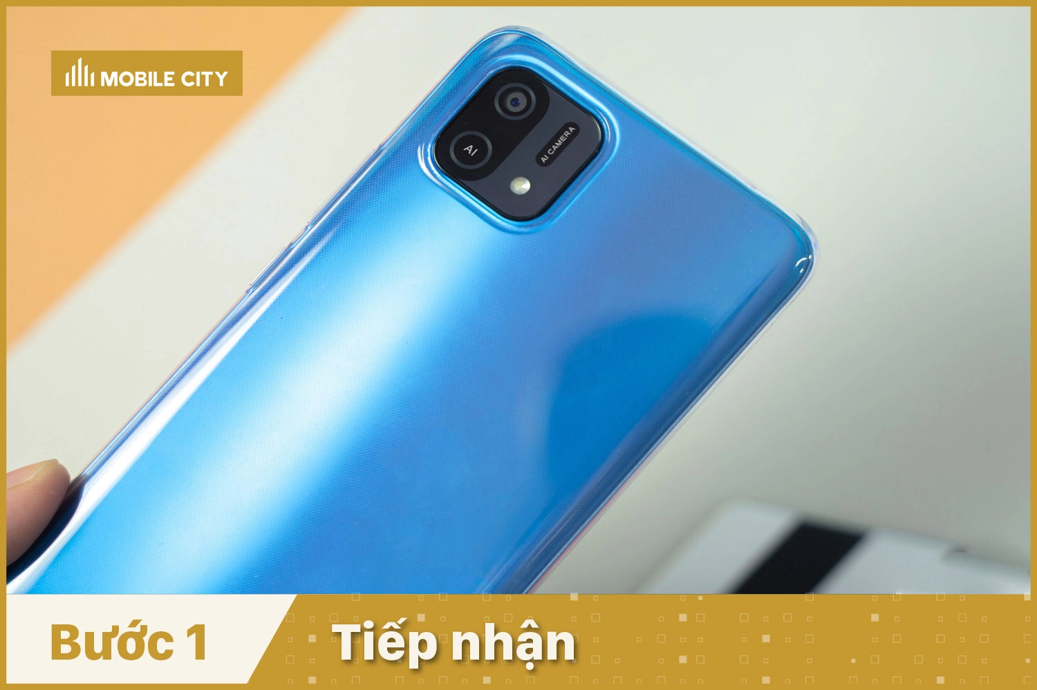 Tiếp nhận