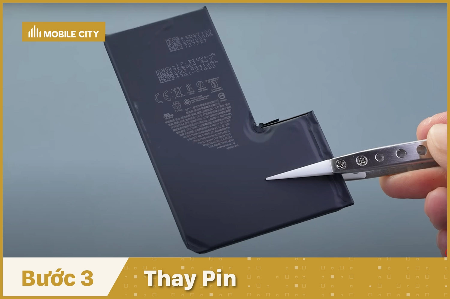 Thay Pin