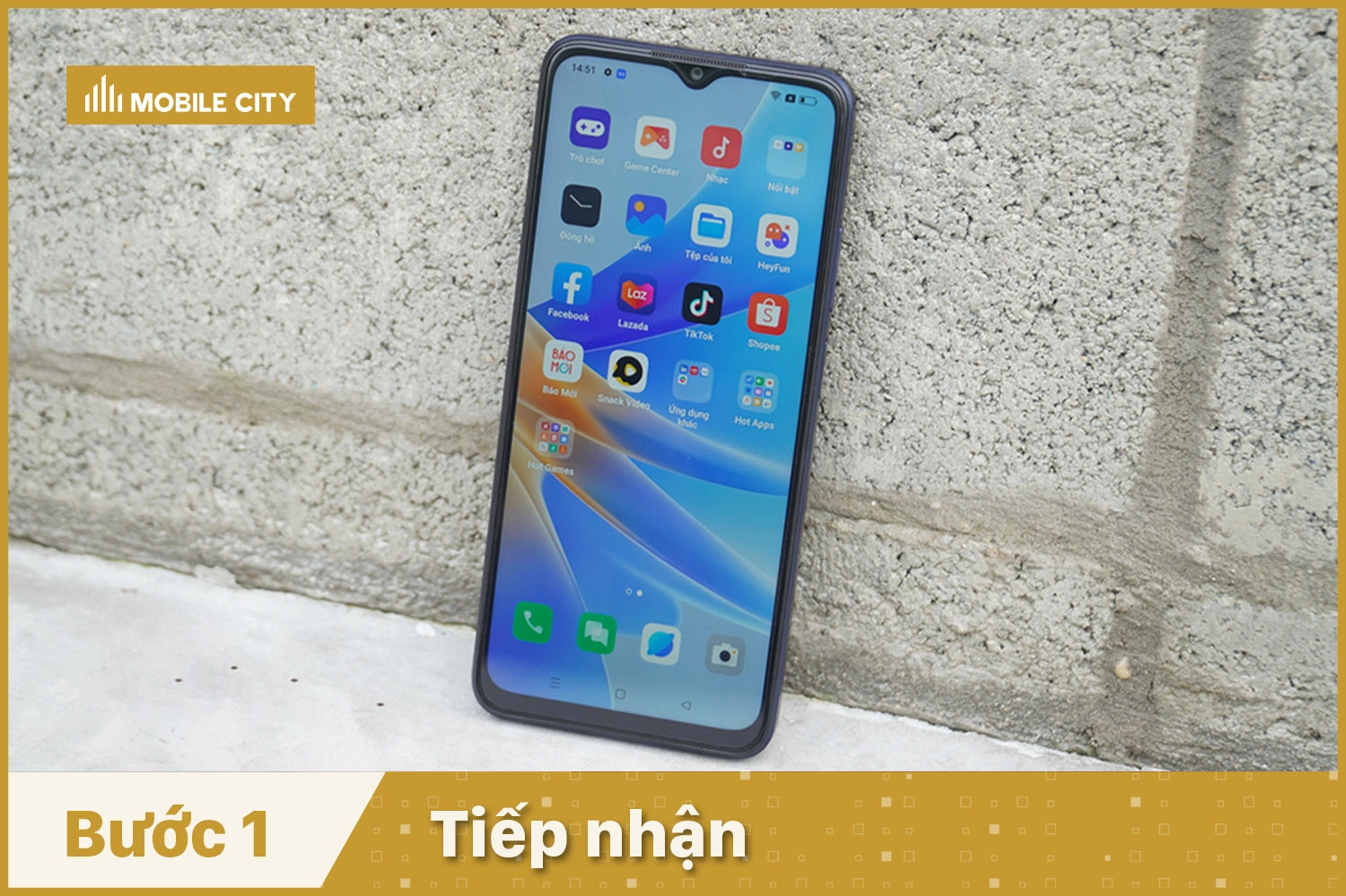 Tiếp nhận