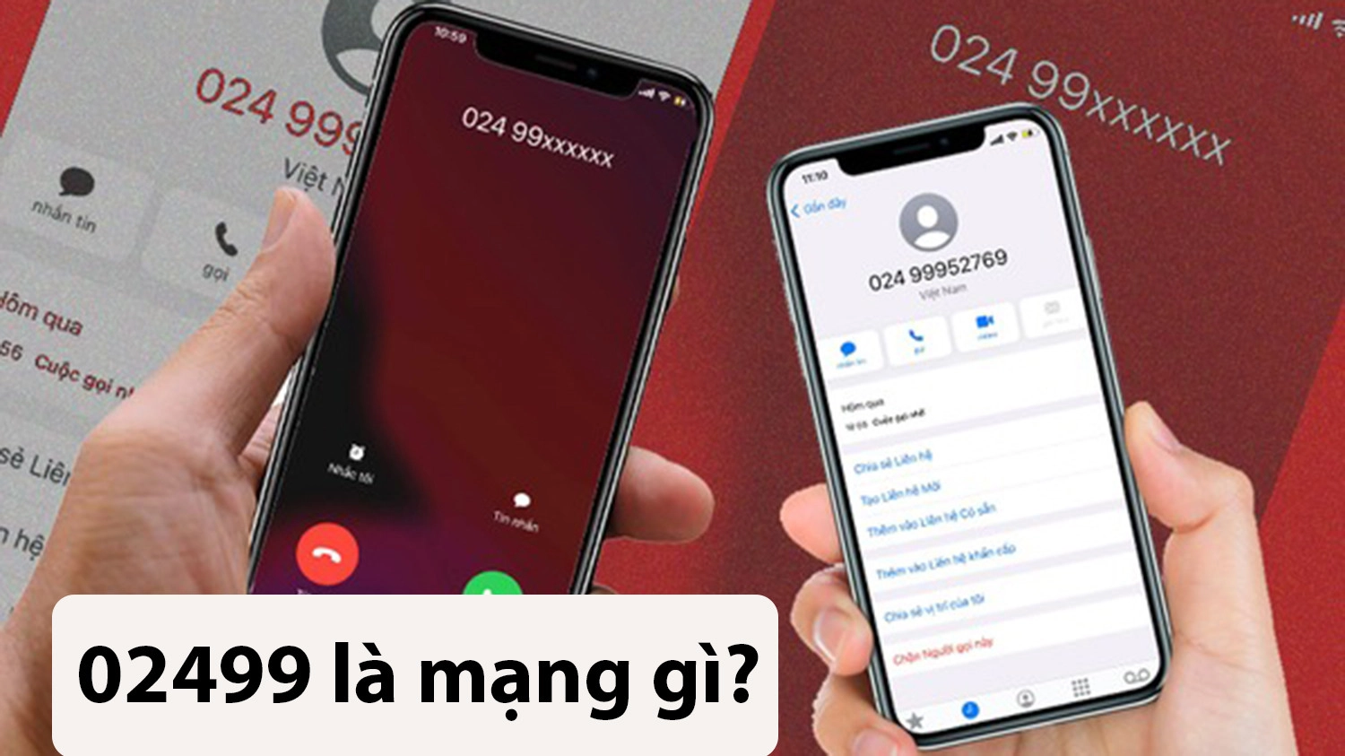 Mạng 02499 Là Mạng Gì? Khám Phá Bí Ẩn Đằng Sau Đầu Số Độc Đáo Này