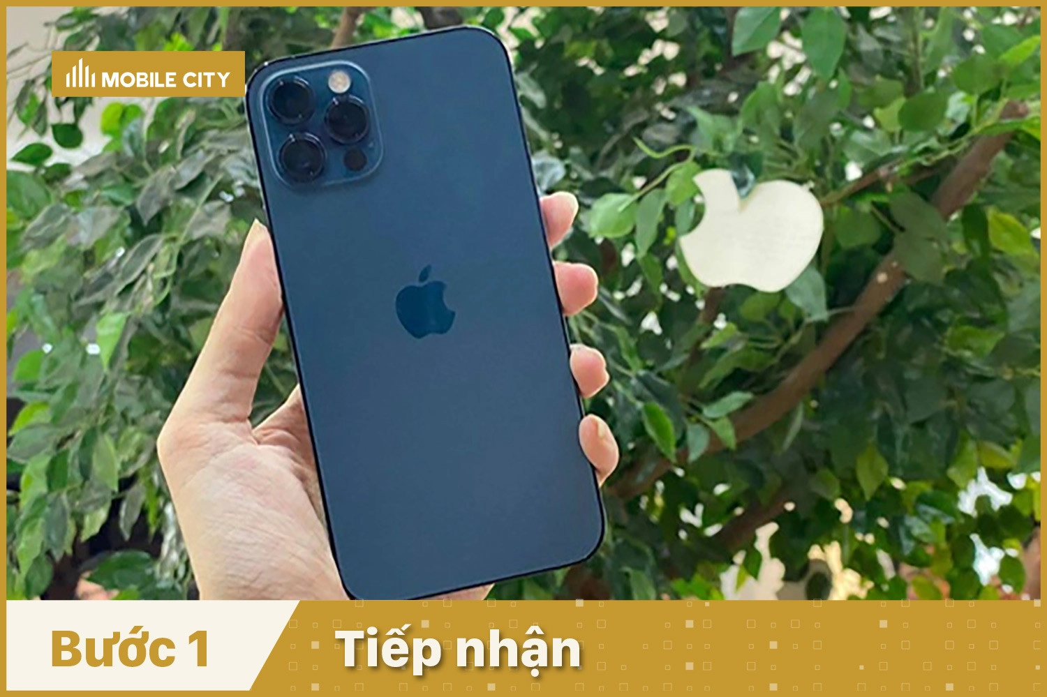 thay-cam-ung-iphone-12-pro-max-tiep-nhan