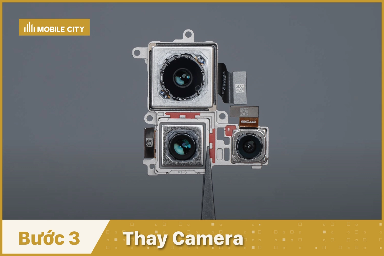 Thay Camera