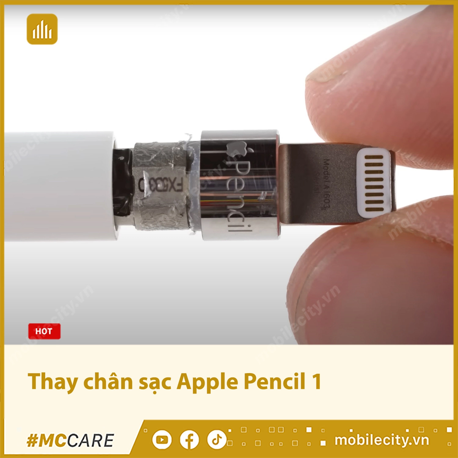 Thay chân sạc Apple Pencil 1