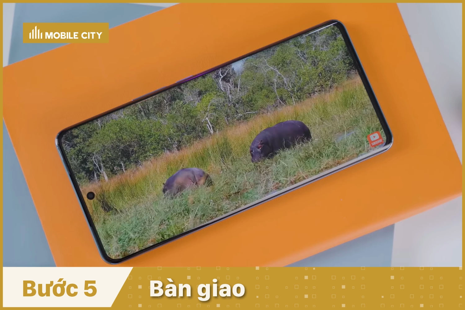 Bàn giao Vivo V25 Pro