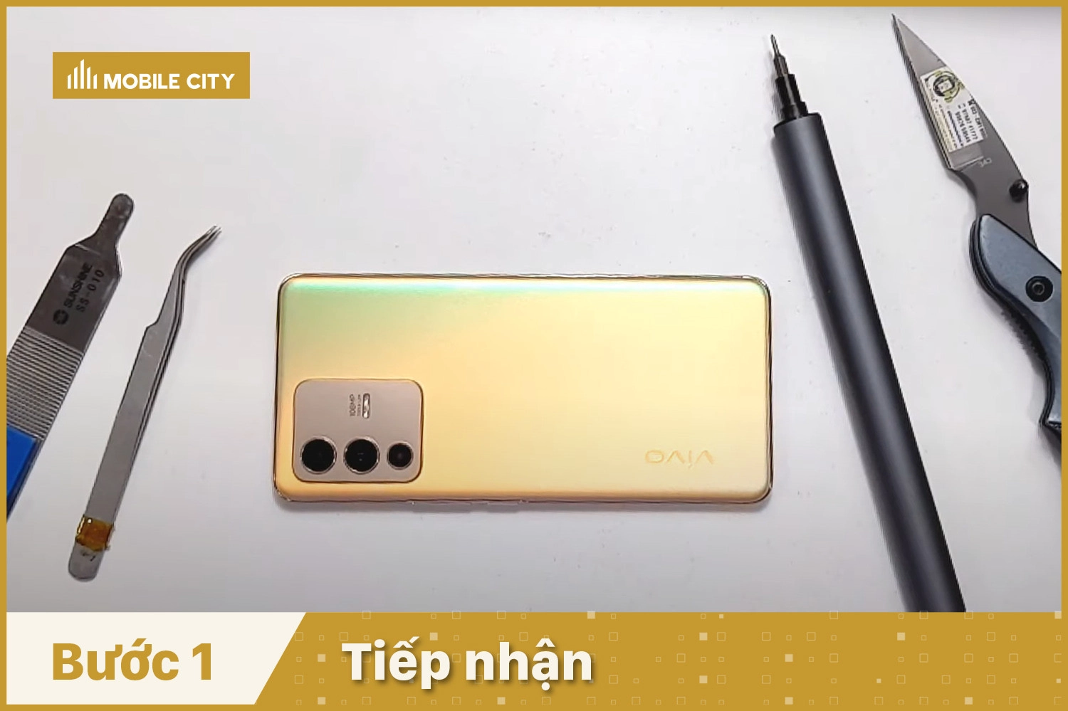 Tiếp nhận