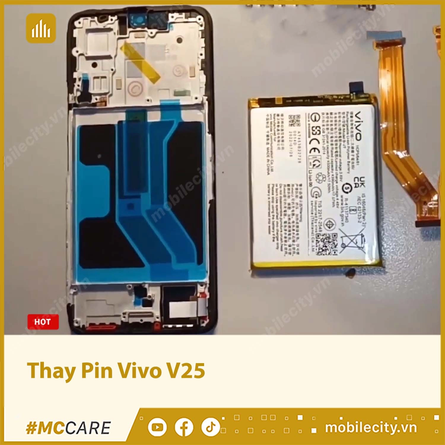 Thay Pin Vivo V25